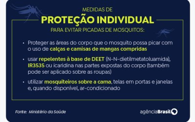 Governo se antecipa a período sazonal da dengue para evitar óbitos